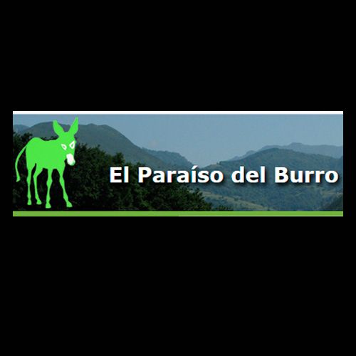 img principal ADOPTA Sitios Pet Friendly