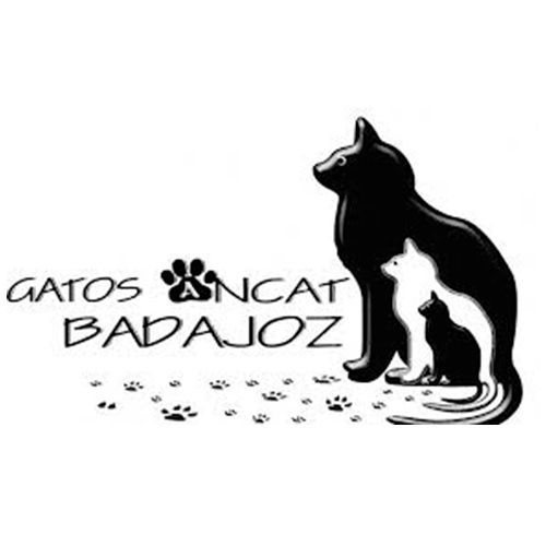 img principal ADOPTA Sitios Pet Friendly