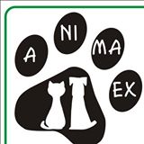 img principal ADOPTA Sitios Pet Friendly