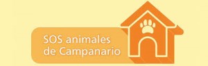 img principal ADOPTA Sitios Pet Friendly