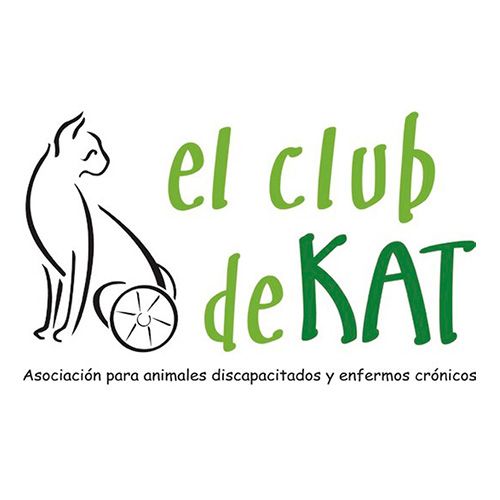 img principal ADOPTA Sitios Pet Friendly