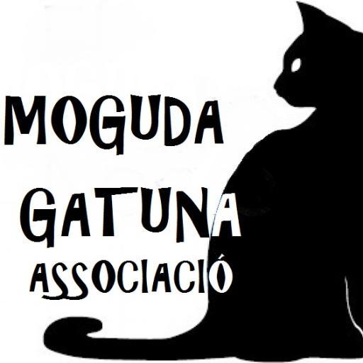 img principal ADOPTA Sitios Pet Friendly
