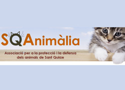 img principal ADOPTA Sitios Pet Friendly