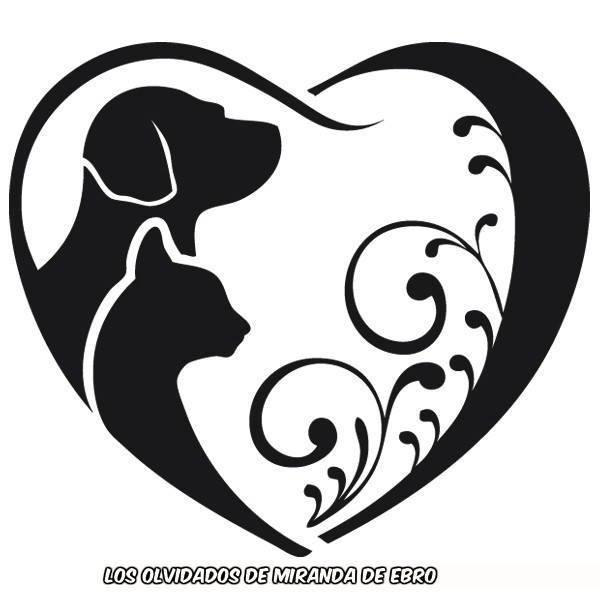 img principal ADOPTA Sitios Pet Friendly
