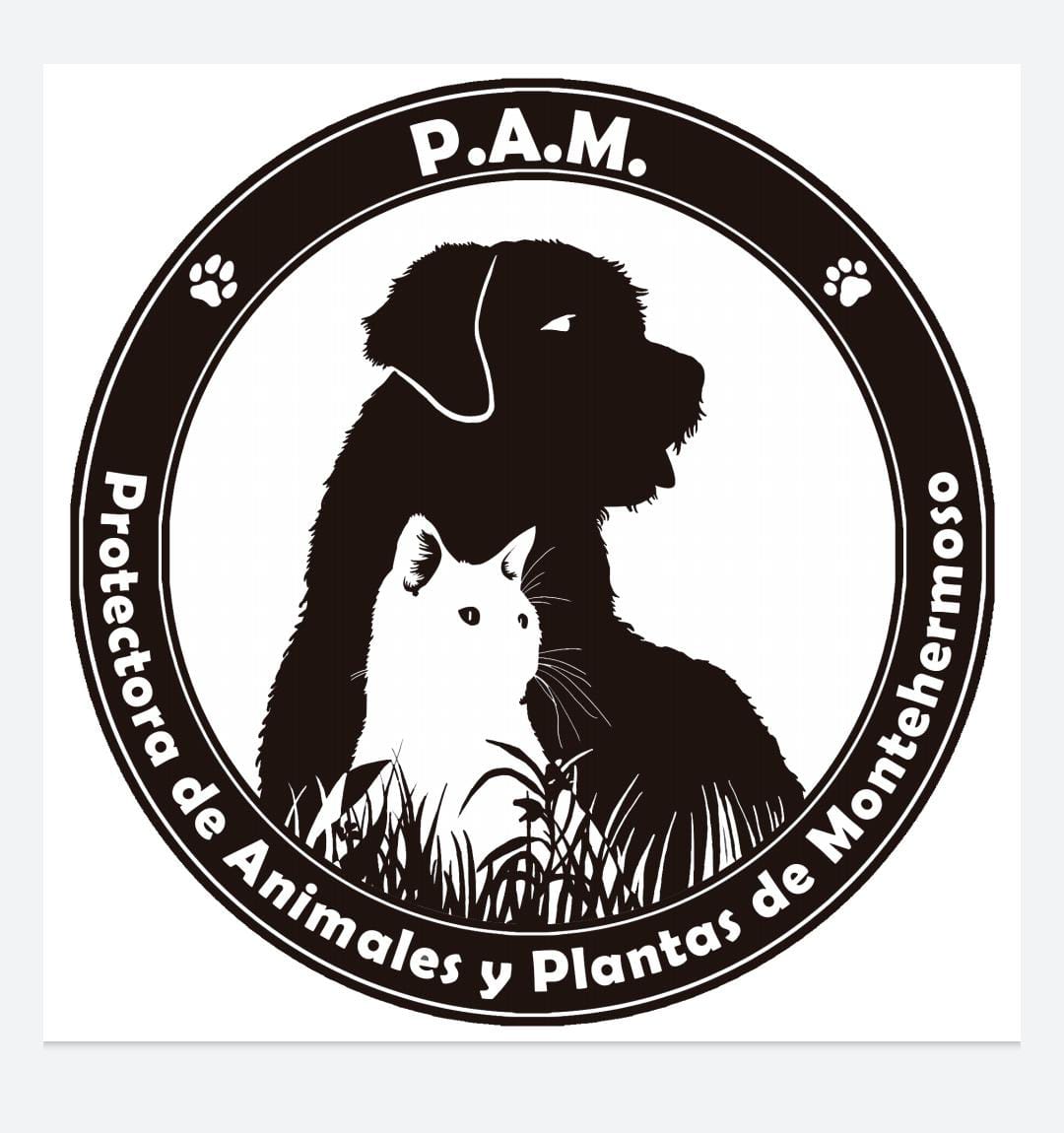 img principal ADOPTA Sitios Pet Friendly