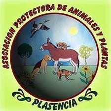 img principal ADOPTA Sitios Pet Friendly