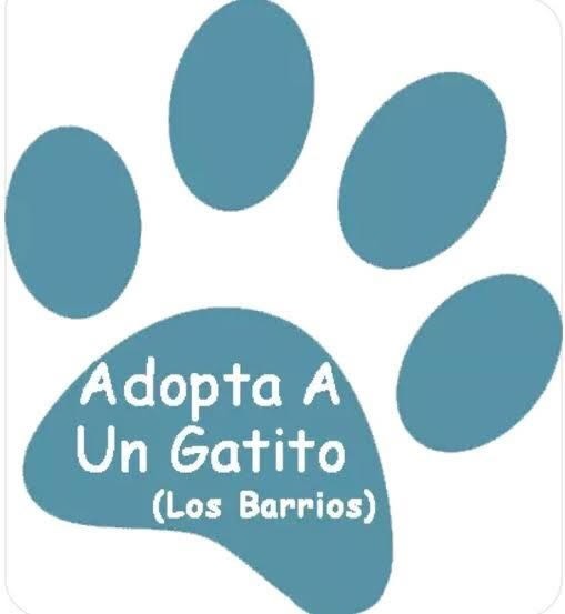 img principal ADOPTA Sitios Pet Friendly