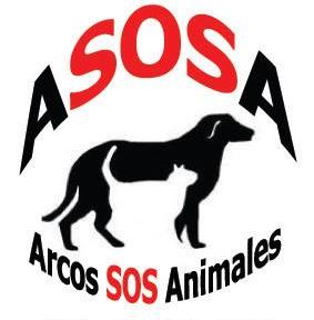 img principal ADOPTA Sitios Pet Friendly