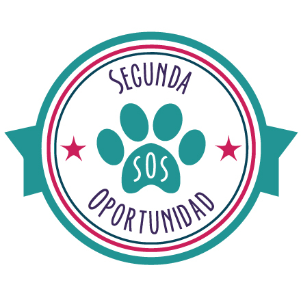 img principal ADOPTA Sitios Pet Friendly