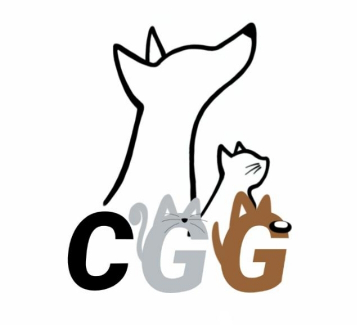 img principal ADOPTA Sitios Pet Friendly
