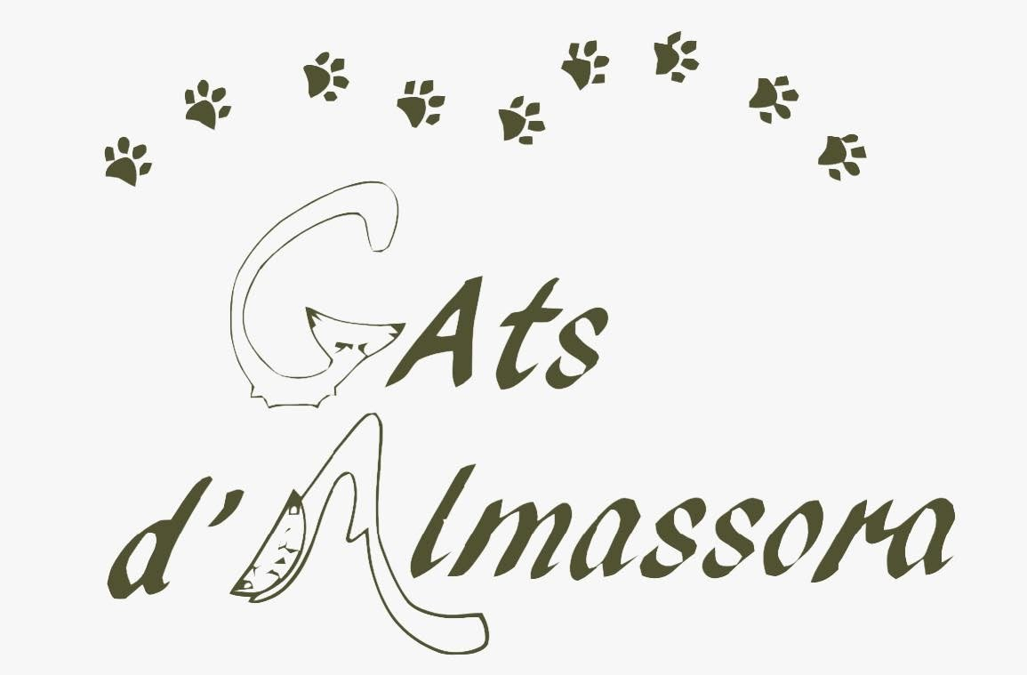img principal ADOPTA Sitios Pet Friendly