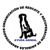 img principal ADOPTA Sitios Pet Friendly