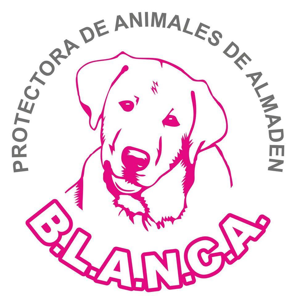 img principal ADOPTA Sitios Pet Friendly