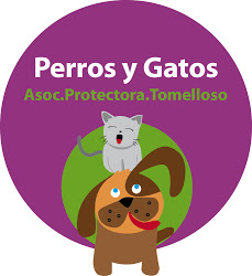 img principal ADOPTA Sitios Pet Friendly