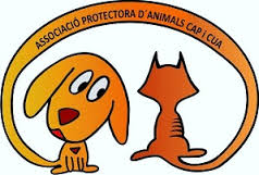 img principal ADOPTA Sitios Pet Friendly