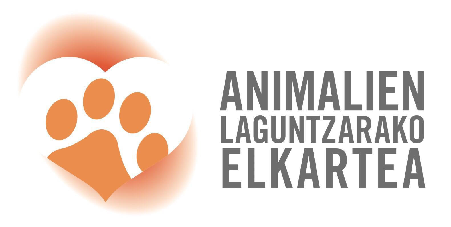 img principal ADOPTA Sitios Pet Friendly