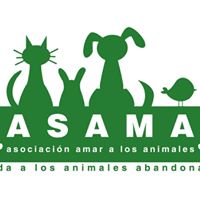 img principal ADOPTA Sitios Pet Friendly