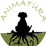 img principal ADOPTA Sitios Pet Friendly