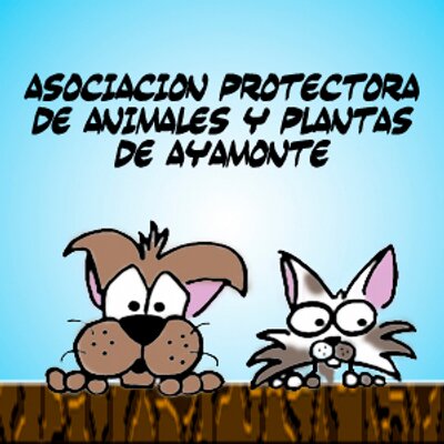 img principal ADOPTA Sitios Pet Friendly