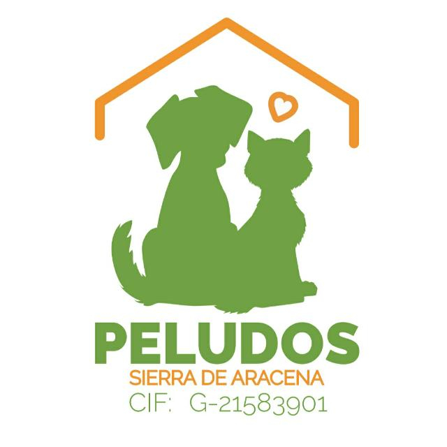 img principal ADOPTA Sitios Pet Friendly