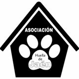 img principal ADOPTA Sitios Pet Friendly