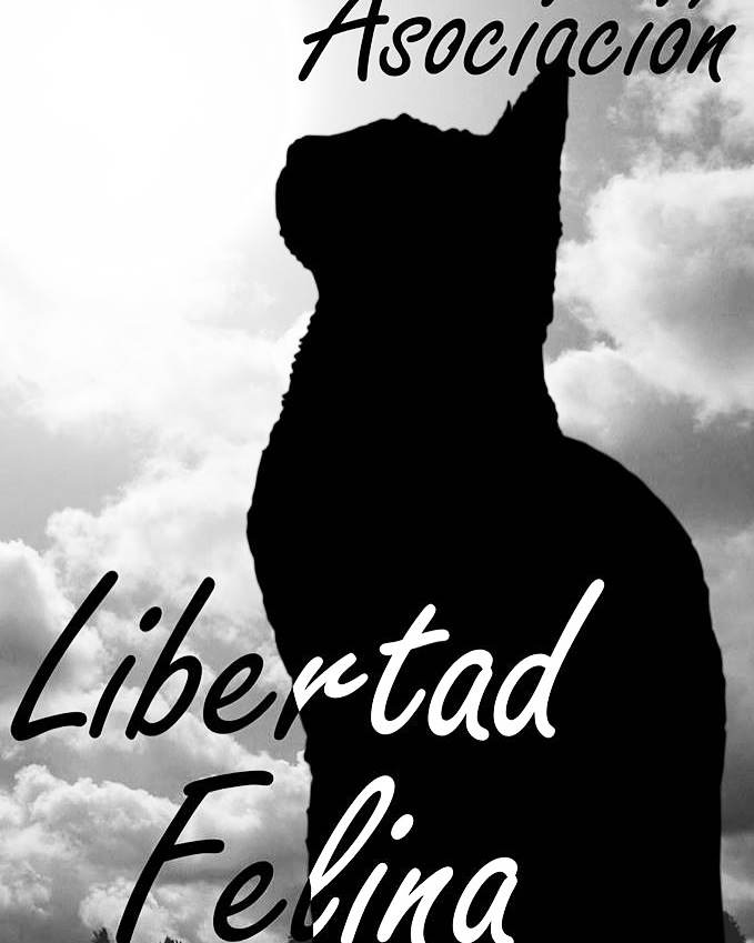 img principal ADOPTA Sitios Pet Friendly