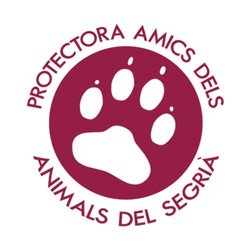 img principal ADOPTA Sitios Pet Friendly