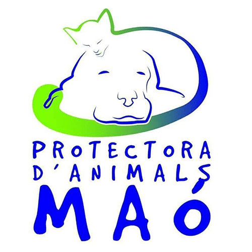 img principal ADOPTA Sitios Pet Friendly