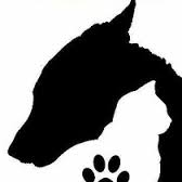 img principal ADOPTA Sitios Pet Friendly