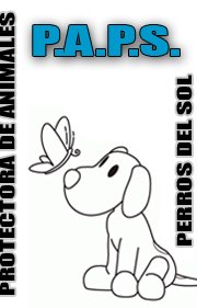 img principal ADOPTA Sitios Pet Friendly