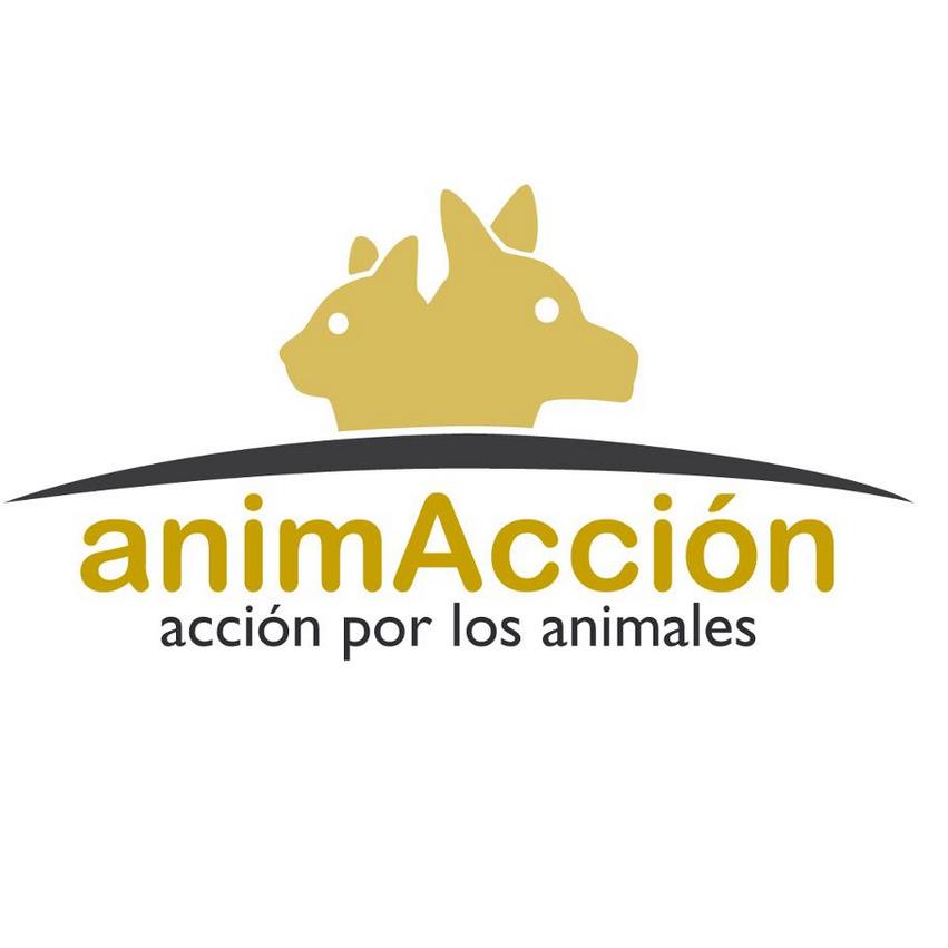 img principal ADOPTA Sitios Pet Friendly
