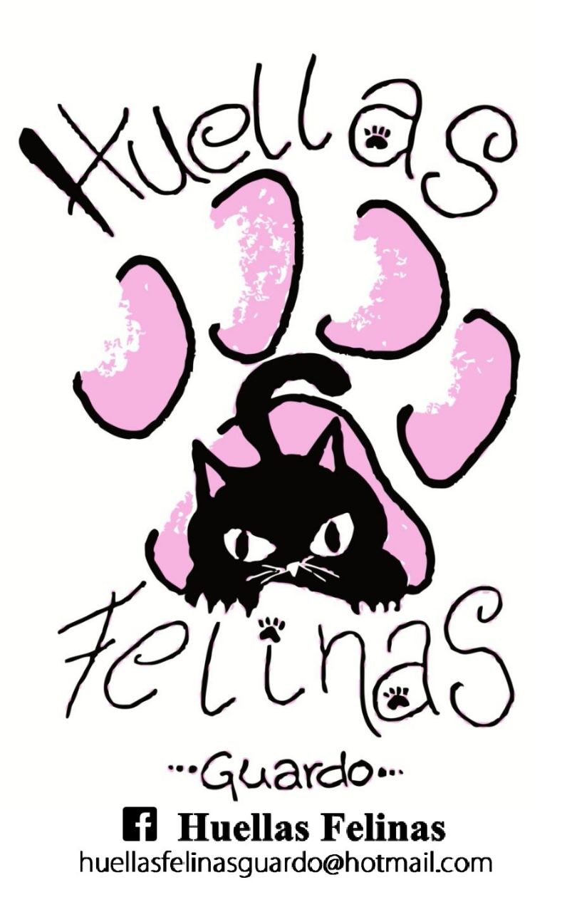 img principal ADOPTA Sitios Pet Friendly