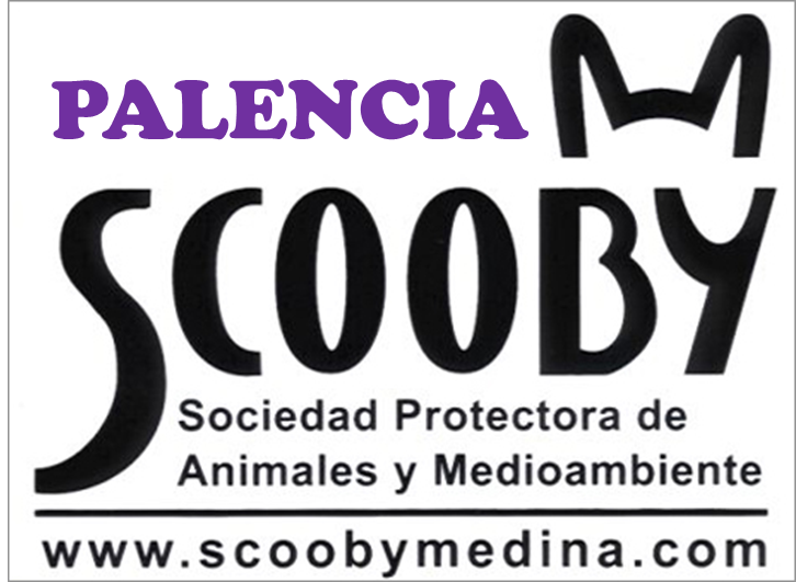 img principal ADOPTA Sitios Pet Friendly