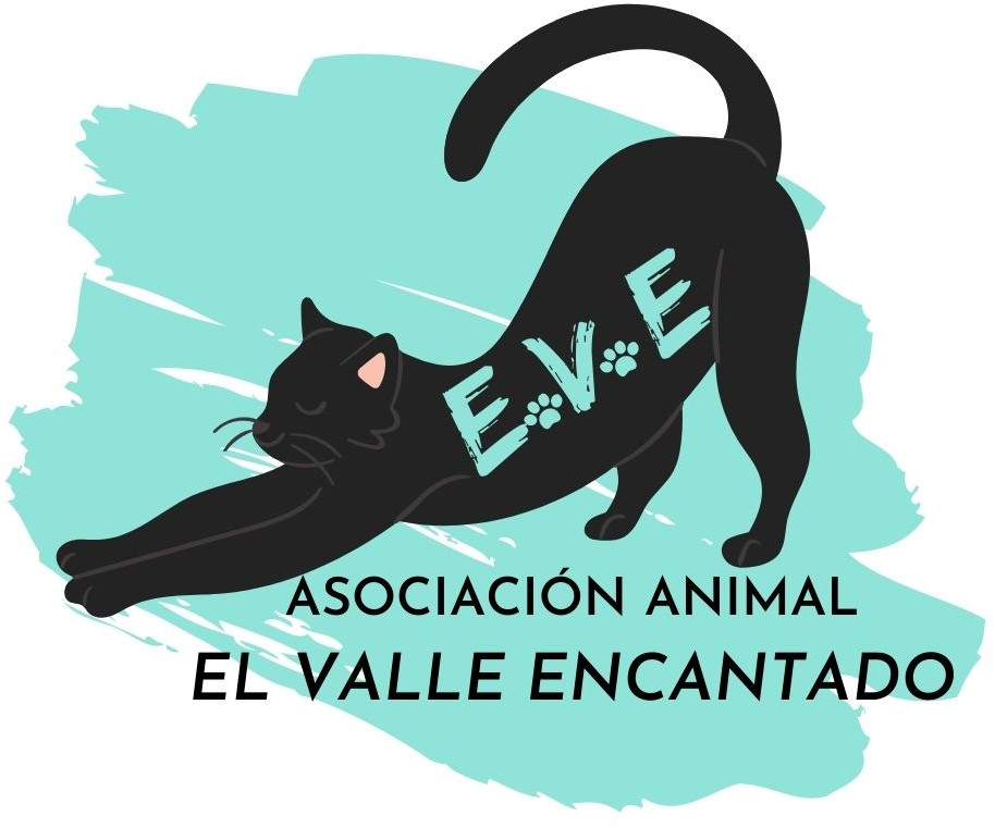 img principal ADOPTA Sitios Pet Friendly