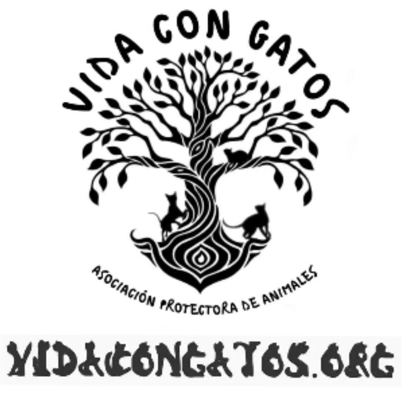 img principal ADOPTA Sitios Pet Friendly