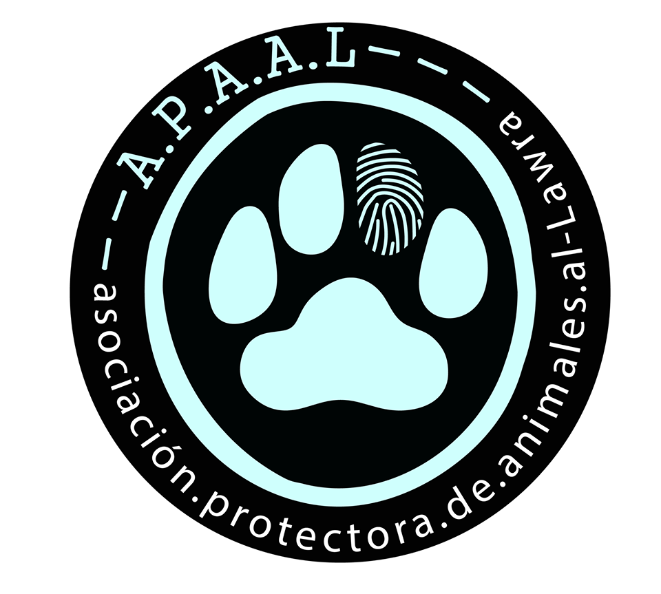 img principal ADOPTA Sitios Pet Friendly
