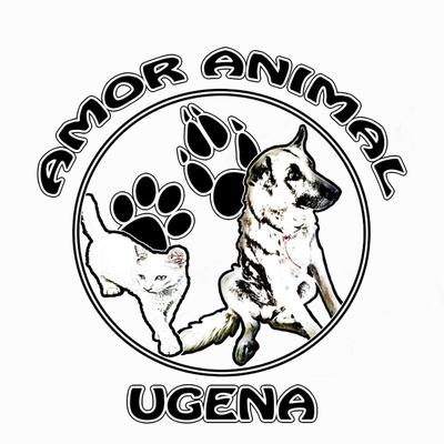 img principal ADOPTA Sitios Pet Friendly