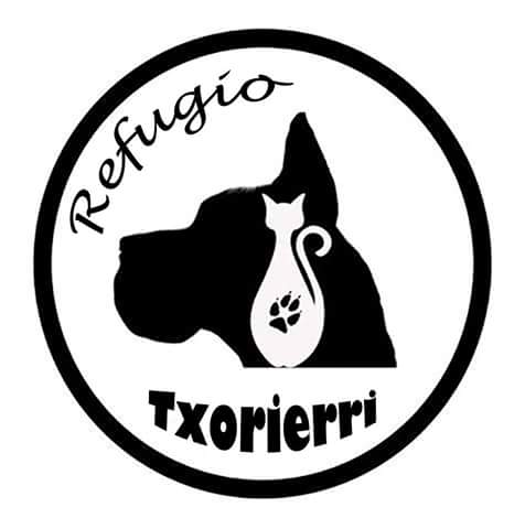 img principal ADOPTA Sitios Pet Friendly