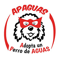 img principal ADOPTA Sitios Pet Friendly
