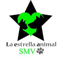 img principal ADOPTA Sitios Pet Friendly