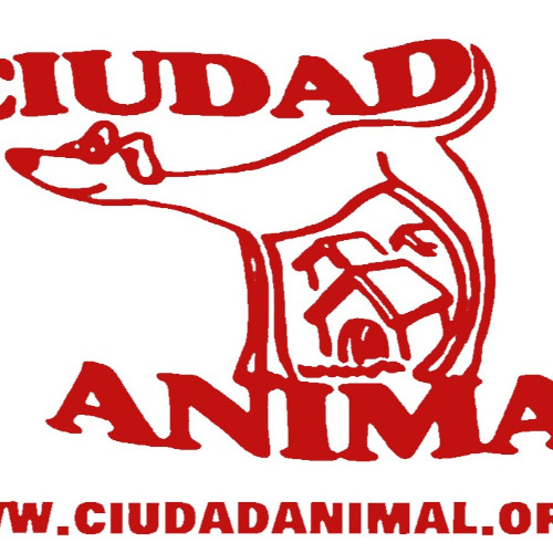 img principal ADOPTA Sitios Pet Friendly