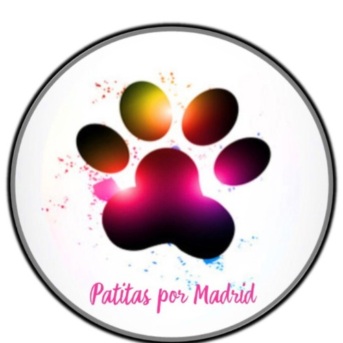 img principal ADOPTA Sitios Pet Friendly