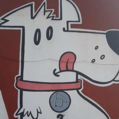 img principal ADOPTA Sitios Pet Friendly