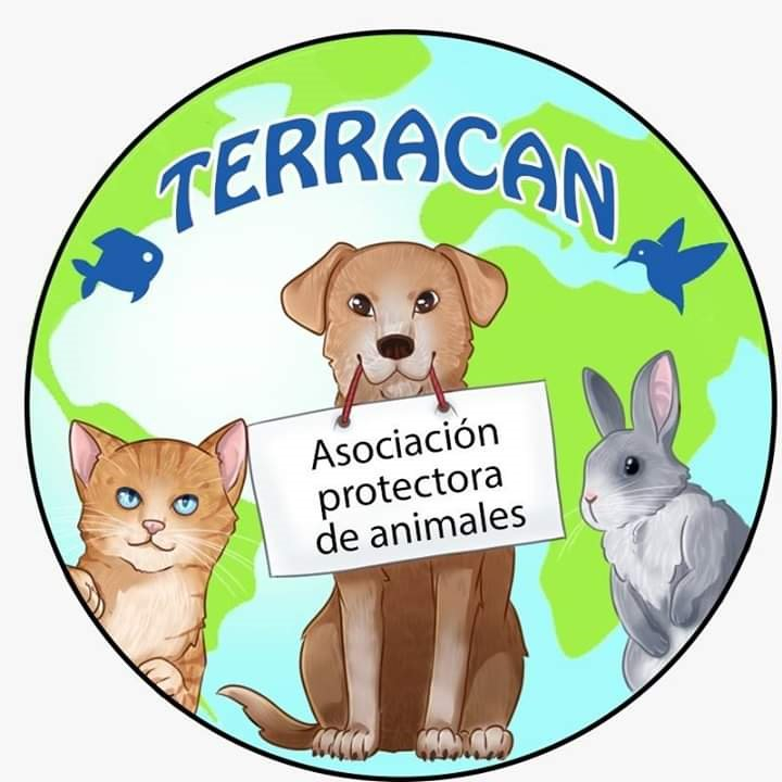img principal ADOPTA Sitios Pet Friendly