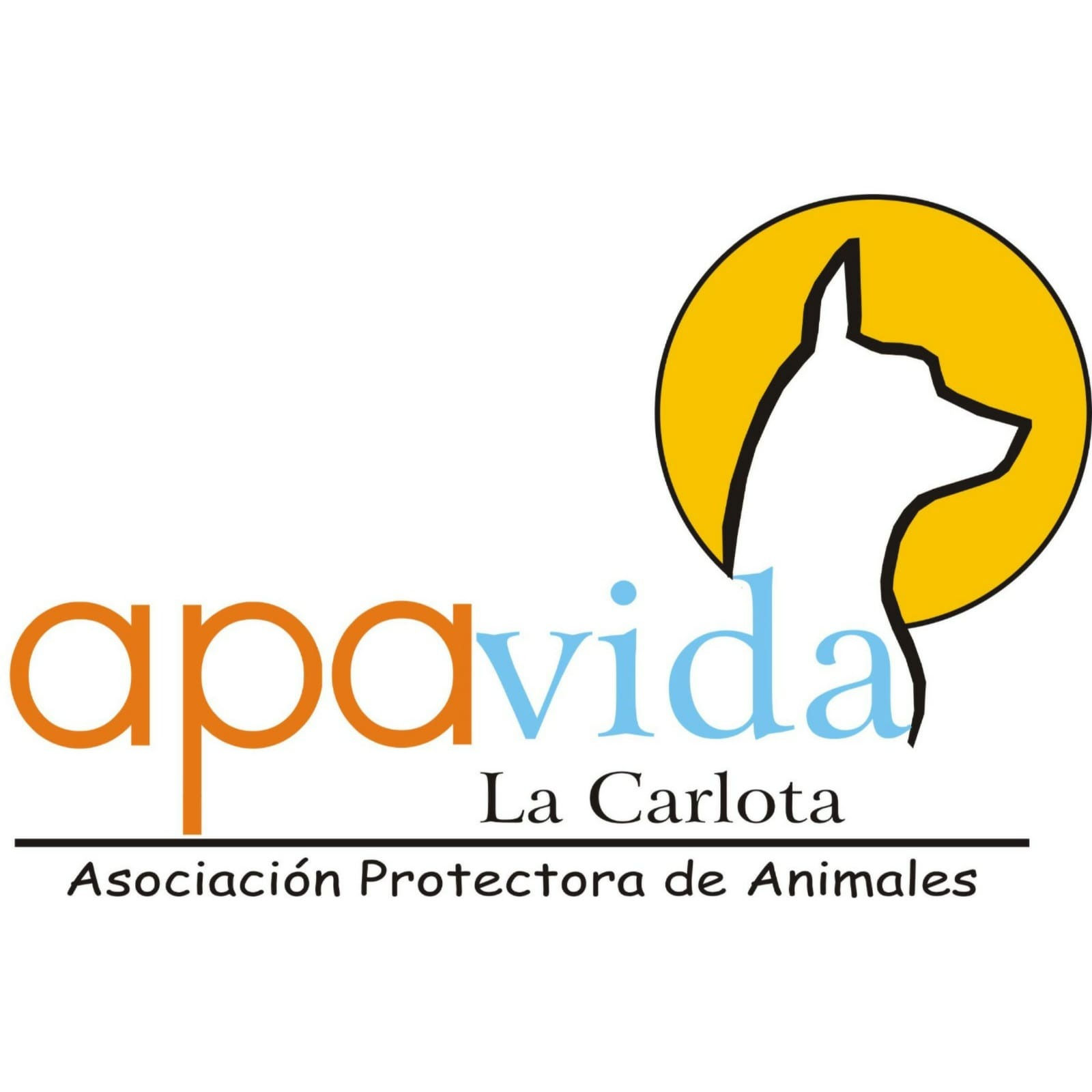 img principal ADOPTA Sitios Pet Friendly