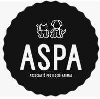 img principal ADOPTA Sitios Pet Friendly