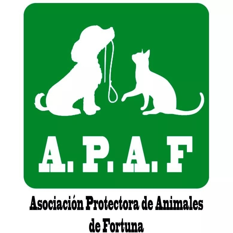 img principal ADOPTA Sitios Pet Friendly