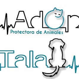 img principal ADOPTA Sitios Pet Friendly