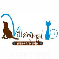 img principal ADOPTA Sitios Pet Friendly