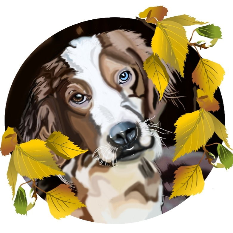 img principal ADOPTA Sitios Pet Friendly